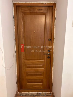 Фото двери №303